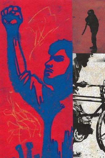 Hasina - 36 Days in July film afişi