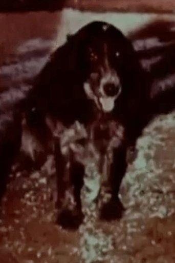 Happy Kuchkhi film afişi