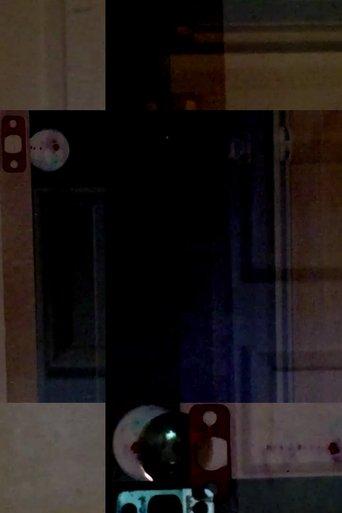 What Was It Supposed to Be Like? film afişi