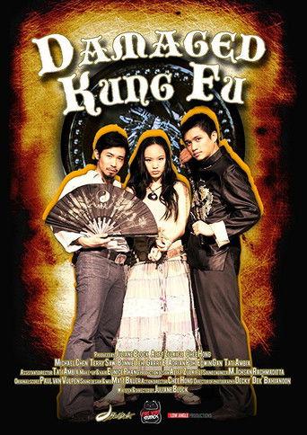 Damaged Kung Fu film afişi