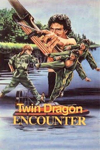 Twin Dragon Encounter film afişi