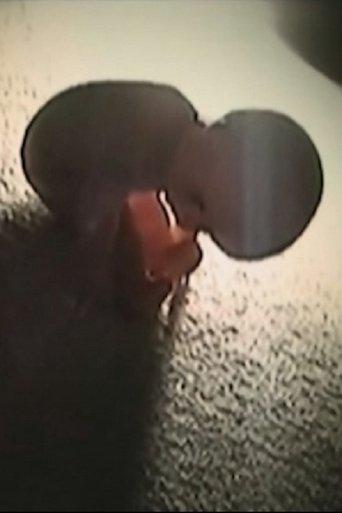 Der Puppenschänder 2 film afişi