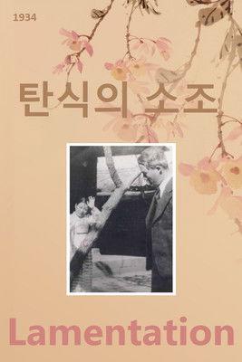 Lamentation film afişi