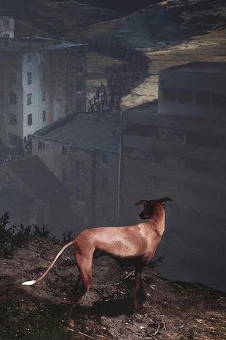 Songs for a Passerby film afişi