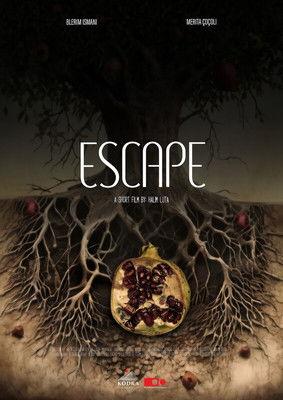 Escape film afişi