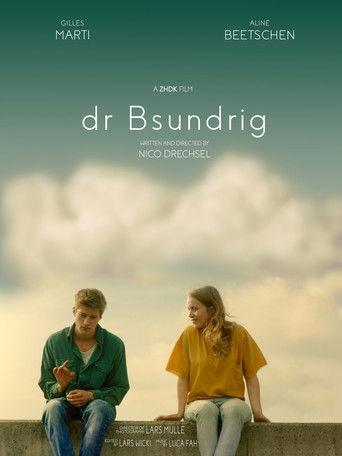 dr Bsundrig film afişi