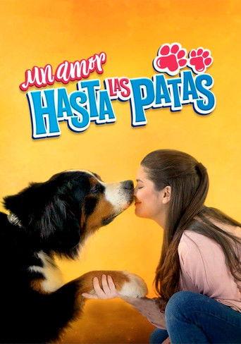 Un amor hasta las patas film afişi