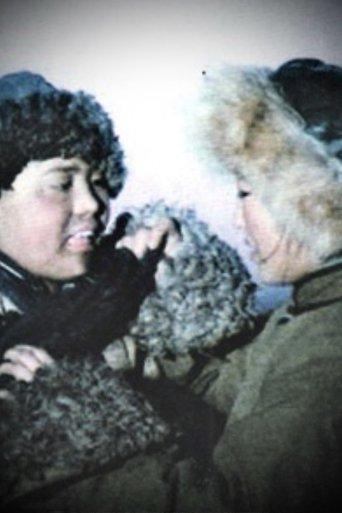 An Unfortunate Fortune film afişi