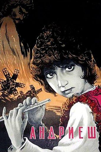 Andriesh film afişi