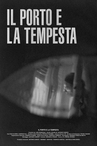 Il porto e la tempesta film afişi