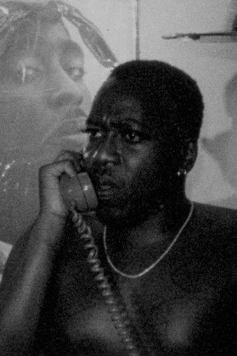 100 Boyfriends Mixtape (The Demo) film afişi