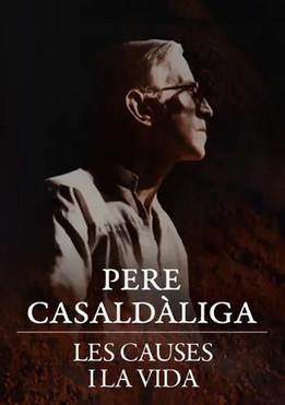 Pere Casaldàliga. Les causes i la vida film afişi