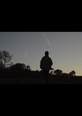 Cuando miro por la ventana veo el bosque film afişi