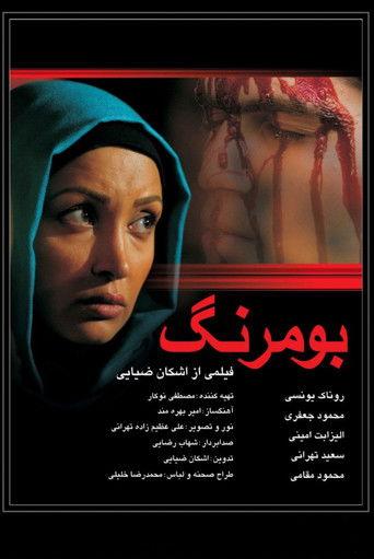 Boomerang film afişi