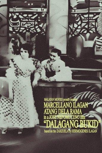 Country Maiden film afişi