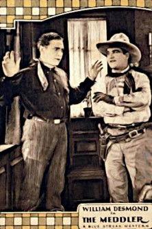 The Meddler film afişi
