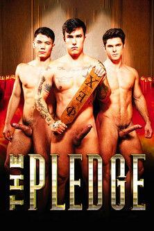The Pledge film afişi