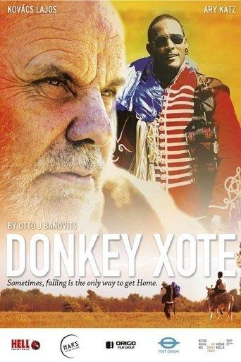 Donkey Xote film afişi