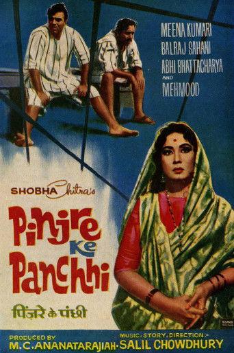 Pinjre Ke Panchhi film afişi