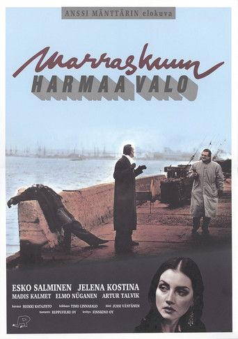 Marraskuun harmaa valo film afişi