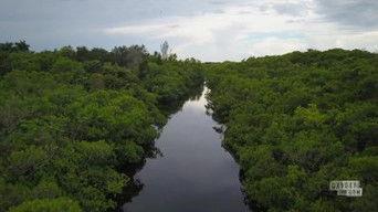 The End of the Affair