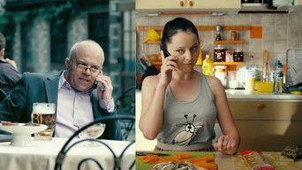 Фартовая Черепаха