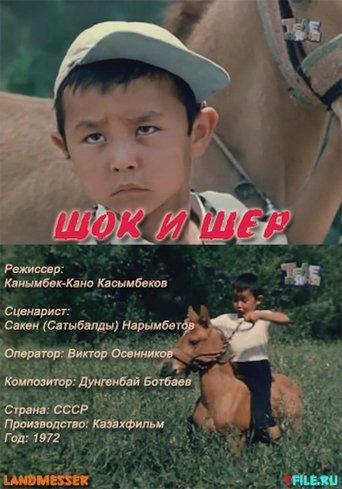 Shok and Sher film afişi