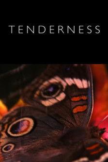 Tenderness film afişi