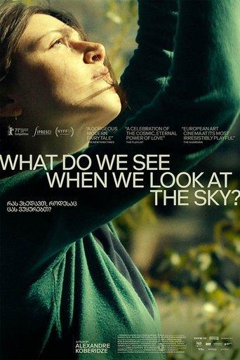 What Do We See When We Look at the Sky? film afişi
