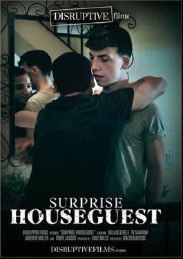 Surprise Houseguest film afişi