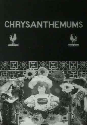 Chrysanthemums film afişi