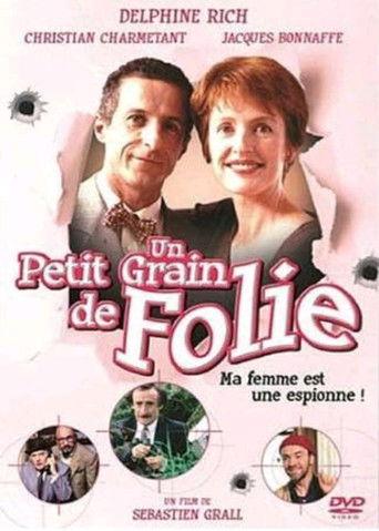 Un petit grain de folie film afişi