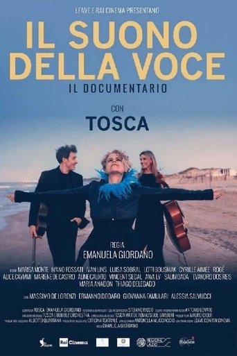 Il suono della voce film afişi