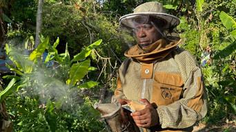 Westmoreland - Jamaica