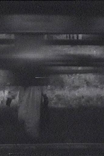 The Sparrow film afişi