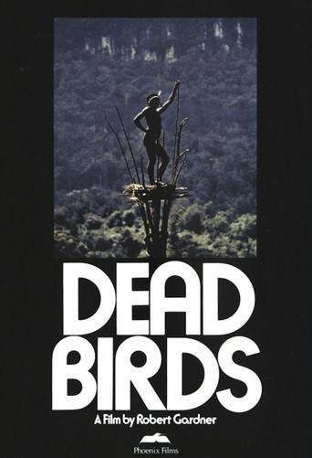 Dead Birds film afişi