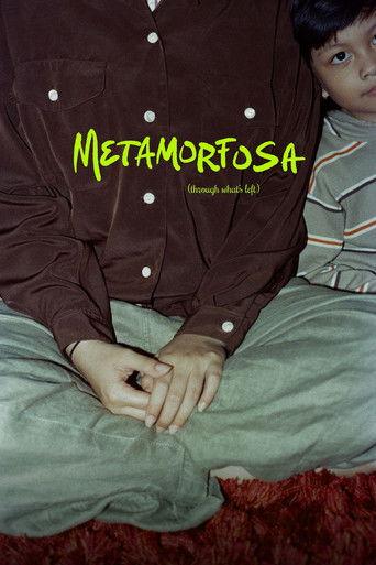 Through What's Left film afişi