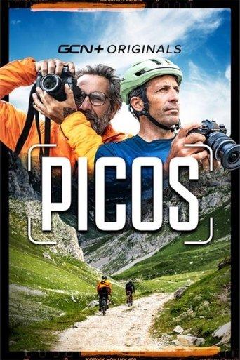 Picos film afişi
