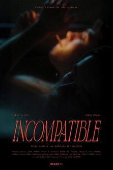 Incompatible film afişi