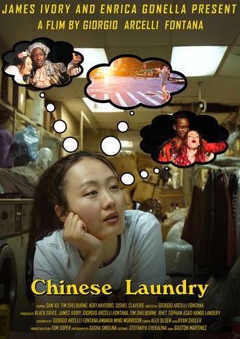 Chinese Laundry film afişi