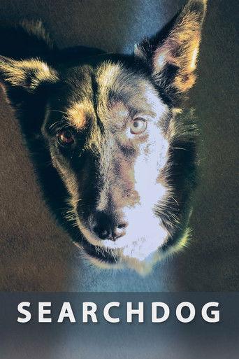 Searchdog film afişi