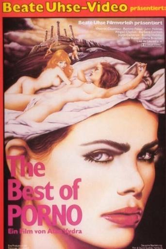 The Best of Porno film afişi