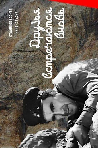 Friends Meet Again film afişi