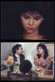 Vénus en transit film afişi