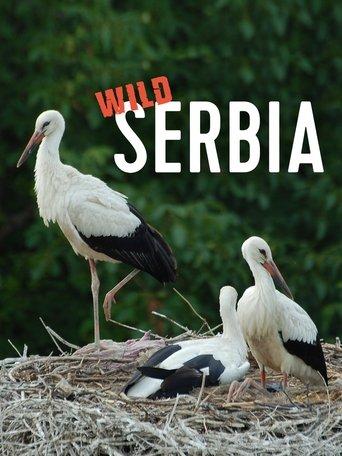 Wild Serbia film afişi