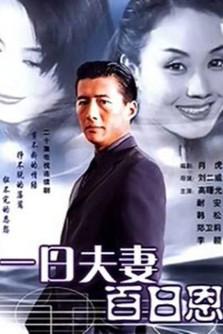 一日夫妻百日恩 dizi afişi