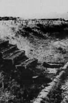 The Occupation Years film afişi