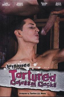 Boynapped 8: Tortured Colossal Cocks film afişi
