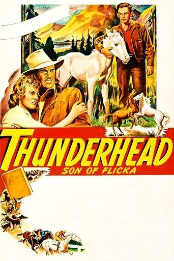Thunderhead: Son of Flicka film afişi