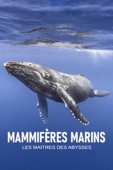 Mammifères marins, les maîtres des abysses film afişi